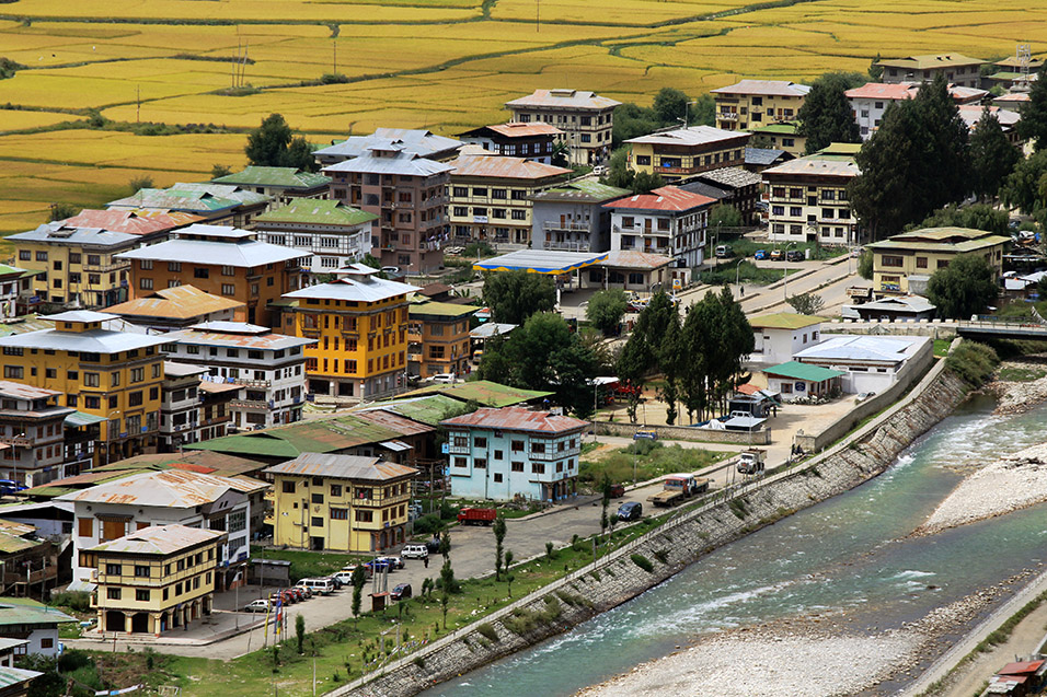 bhutan/paro_town_rice_view