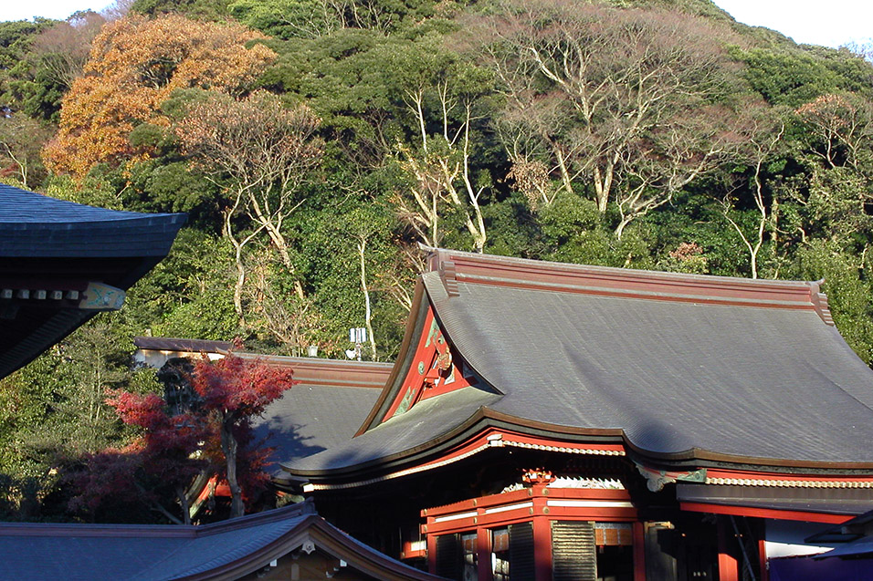 japan/2003/kamakura_temple_foliage_trees