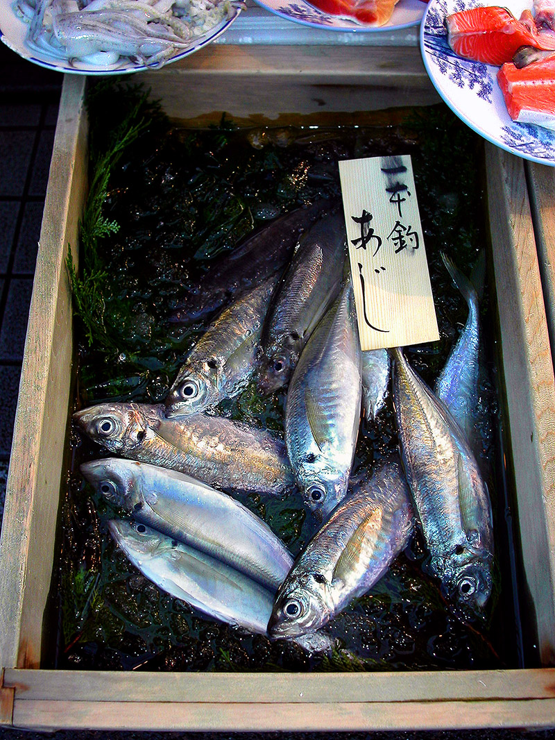 japan/2003/tokyo_fish_sale