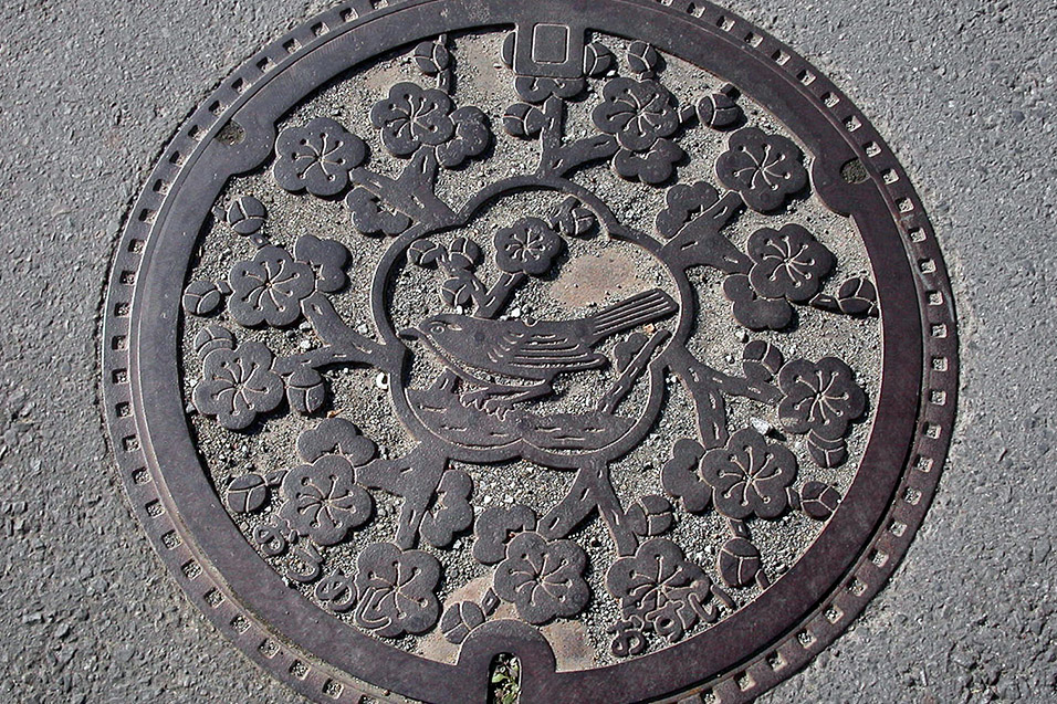 japan/2003/trip_manhole