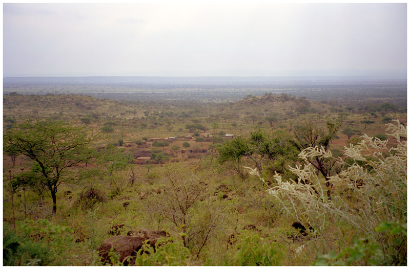 kenya/amboseli_view_from_hill