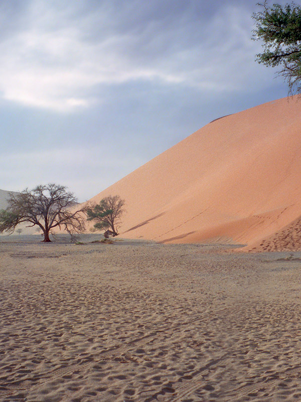 namibia/dune_45_diagonal