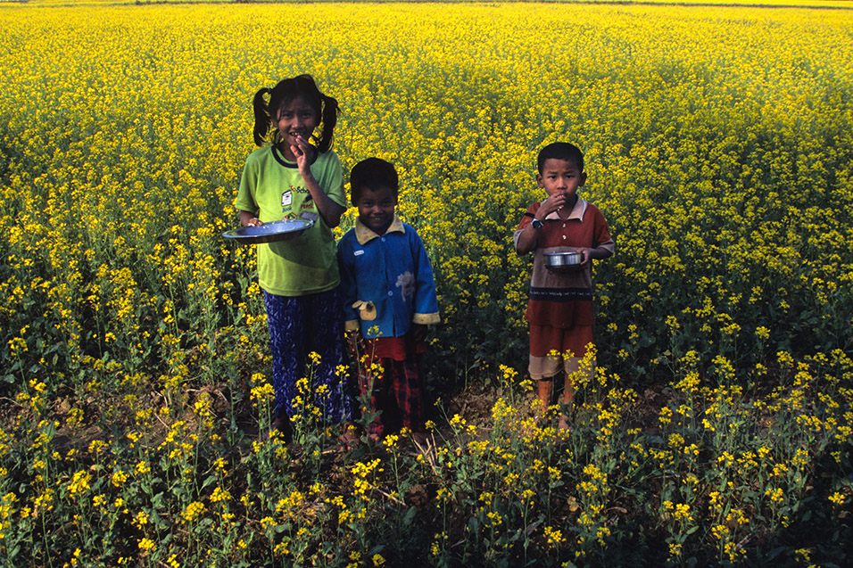 nepal/chitwan_kids_yellow_field