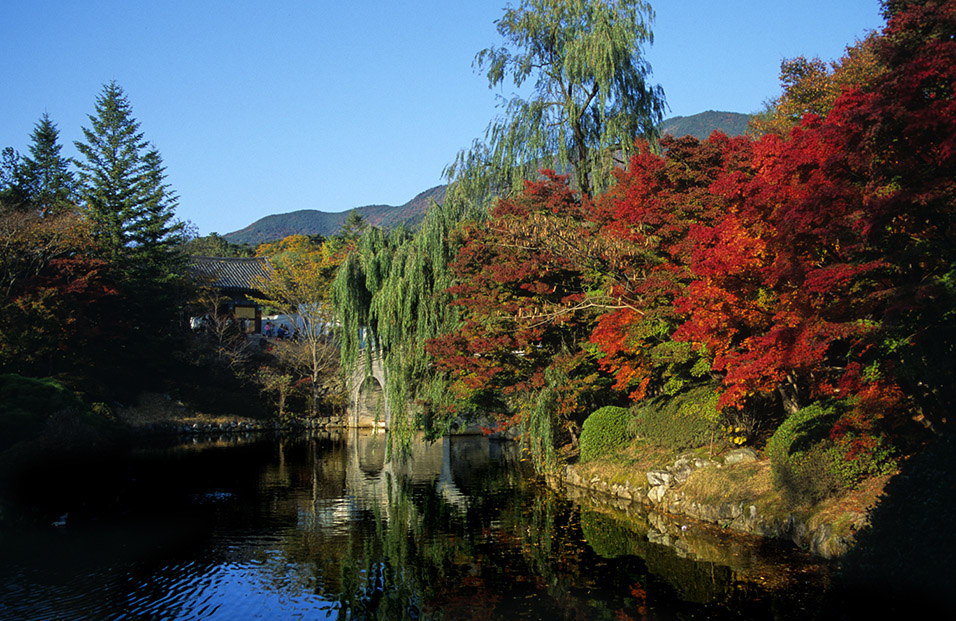 south_korea/korea_pond_red_leaves