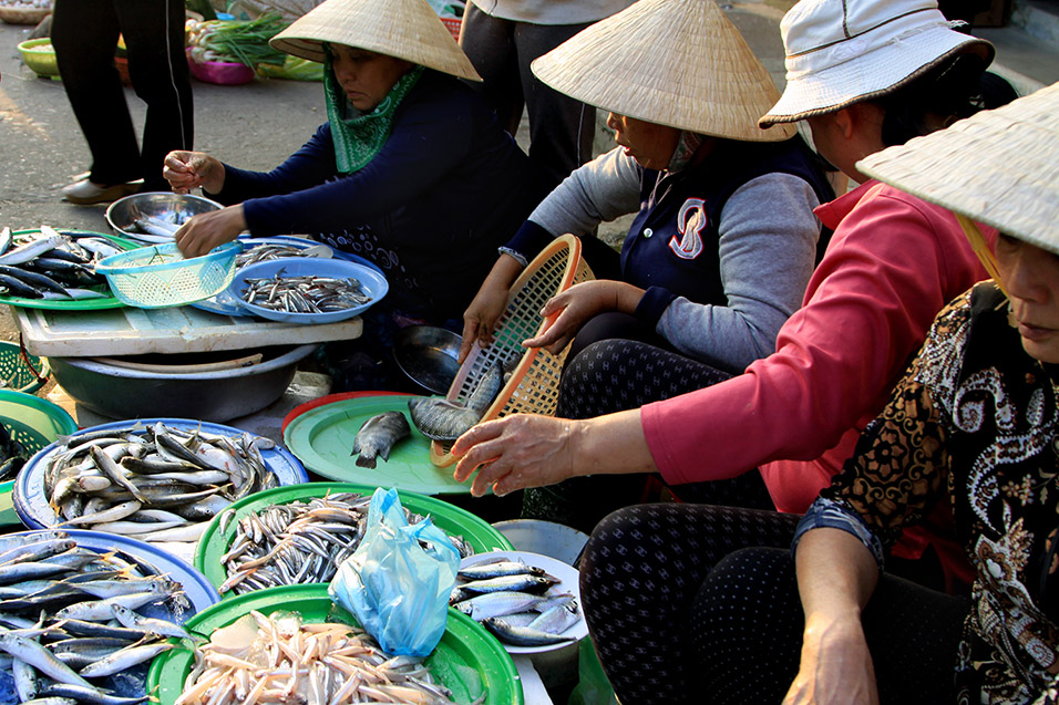 vietnam/2014/hoian_selling_fish