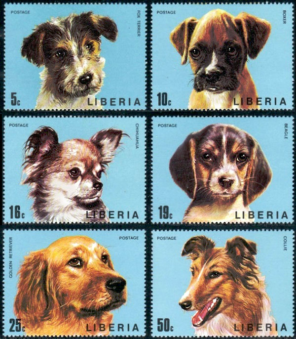 Liberia Dogs