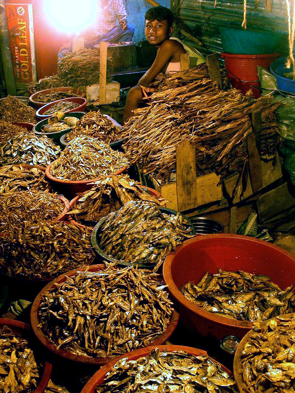 bangladesh/dried_fish