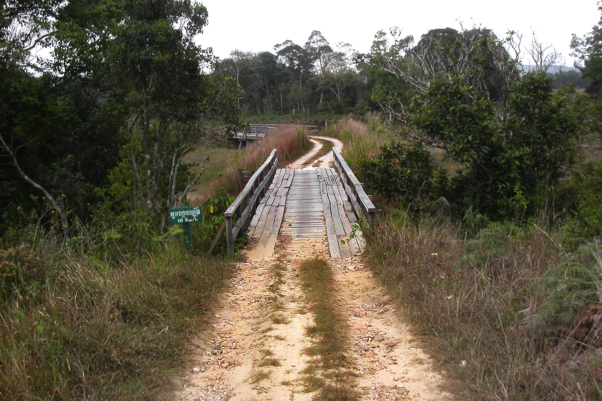 cambodia/bokor_brian_plants