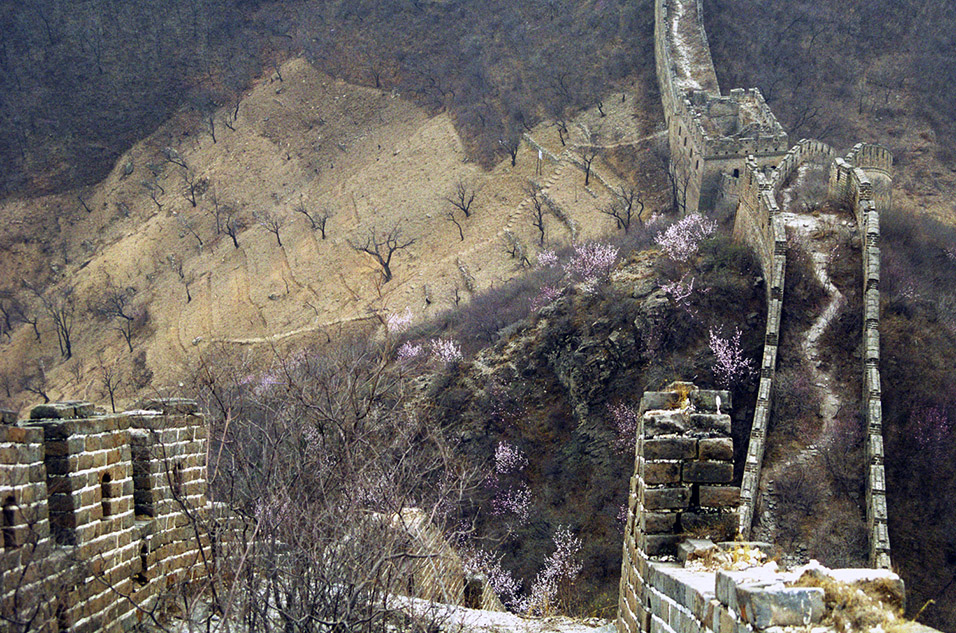 china/2001/wall_trees_path