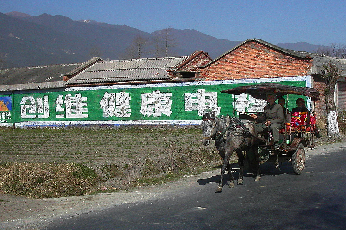 china/2004/dali_horse_ad