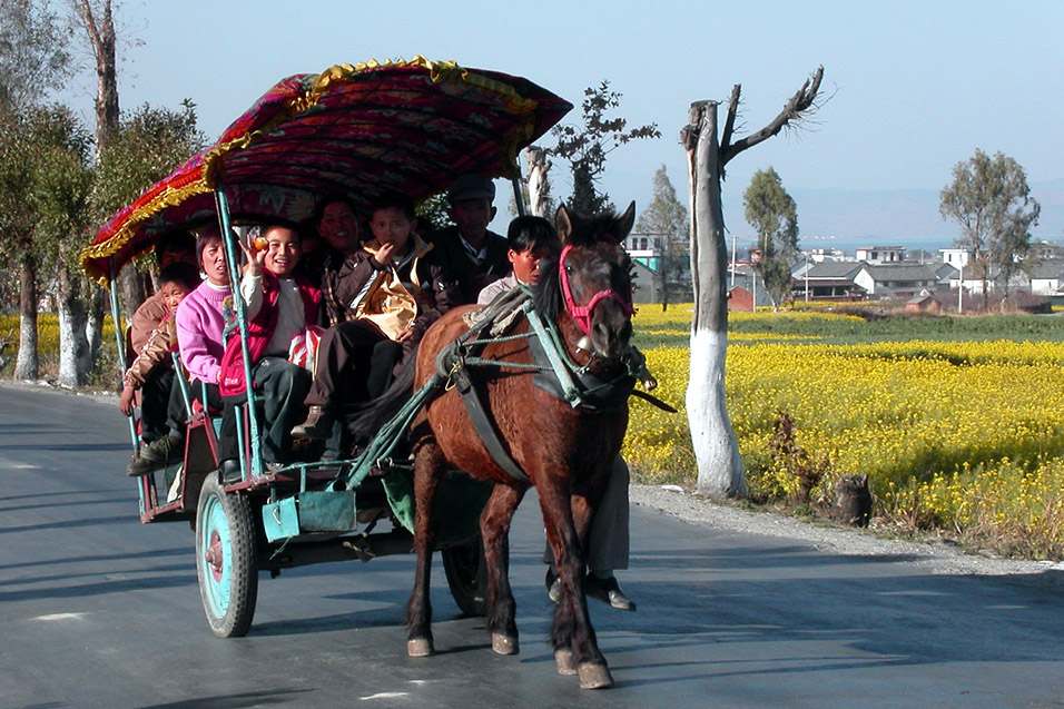 china/2004/dali_horse_carriage