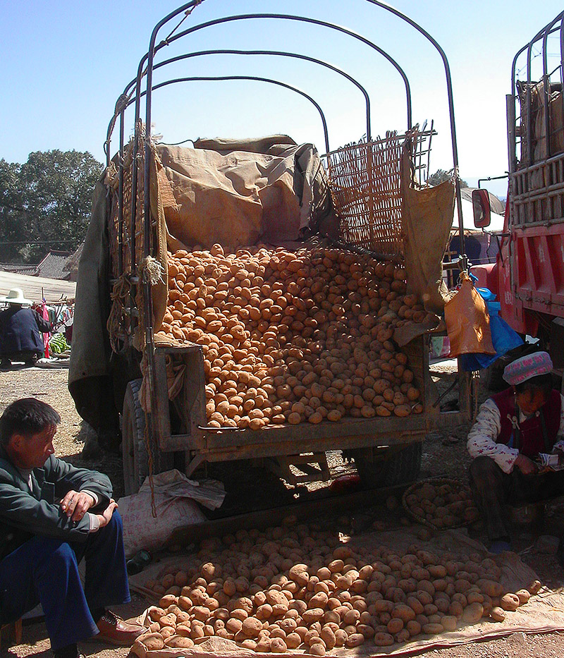 china/2004/dali_potato_market