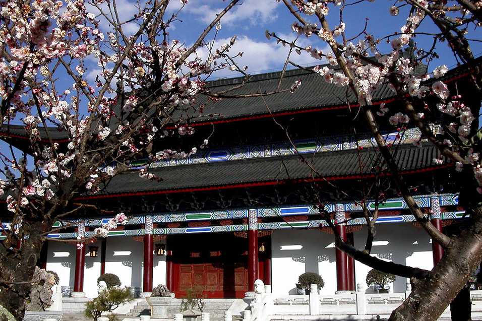 china/2004/lijiang_temple_flowers
