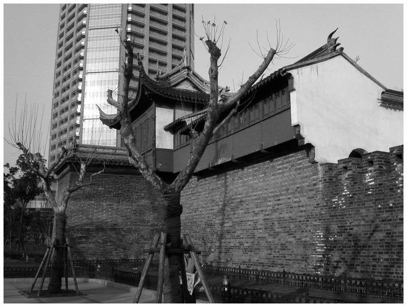 china/2004/shanghai_ancient_modern_bw