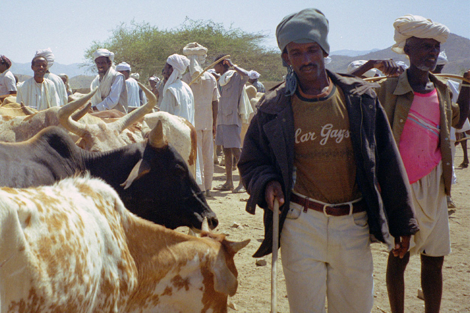eritrea/karen_animal_market_men_close