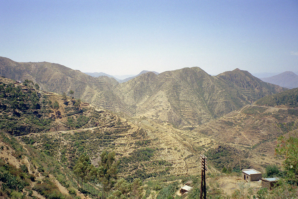 eritrea/niva_terraced_hills