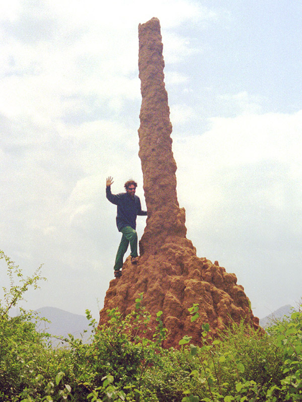 ethiopia/omo_valley_termite_mound