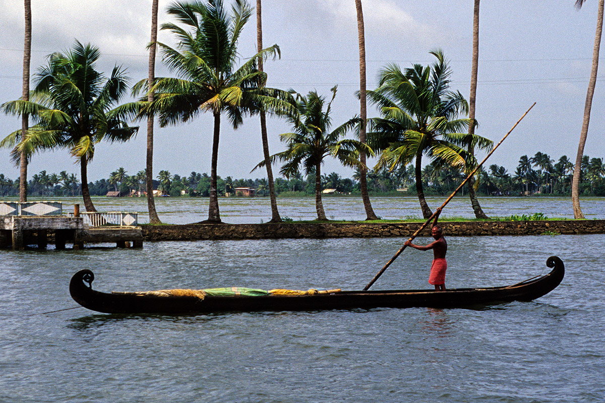 india/backwaters_man_rowing