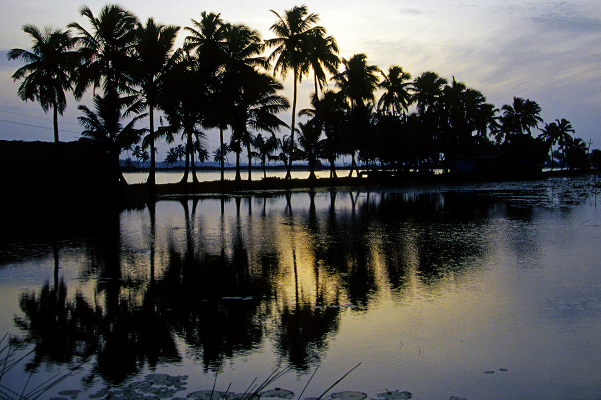 india/backwaters_sunset