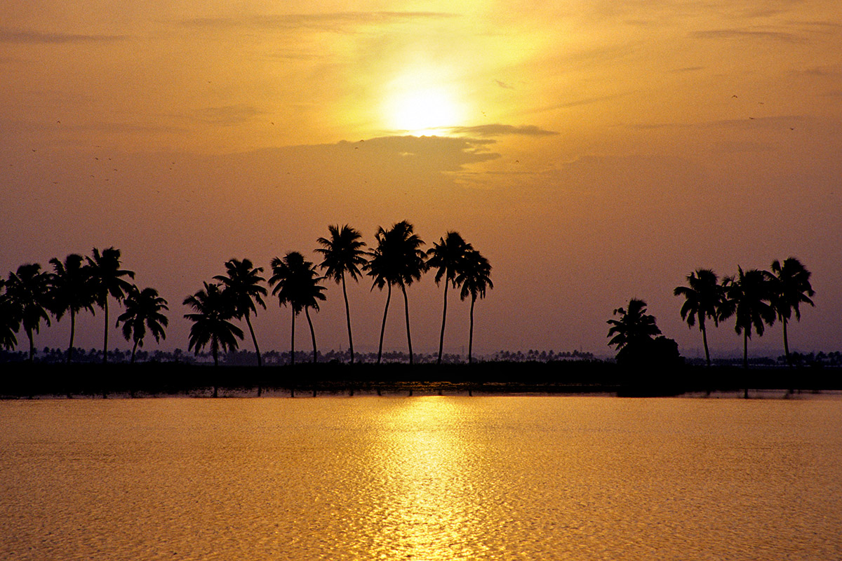 india/backwaters_sunset_yellow