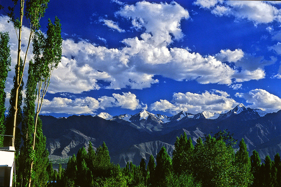 india/leh_trees_mountains_sky