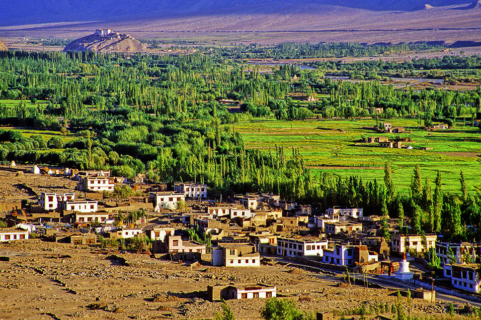india/leh_view_houses_fields