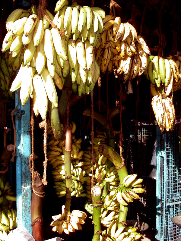 india/trivandrum_bananas