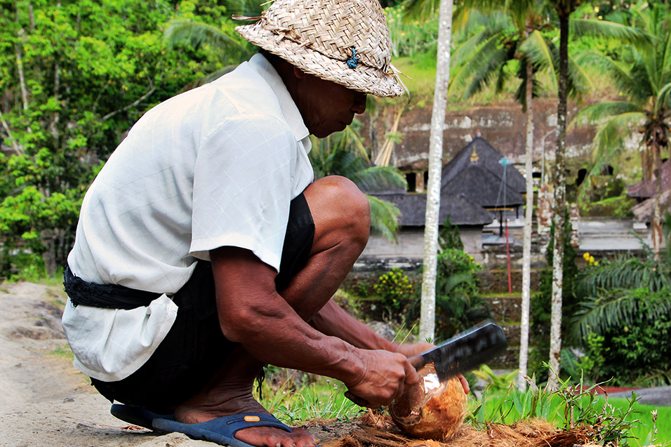 indonesia/ubud_chopping_coconuts