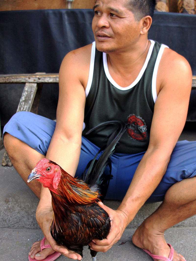 indonesia/ubud_rooster_man