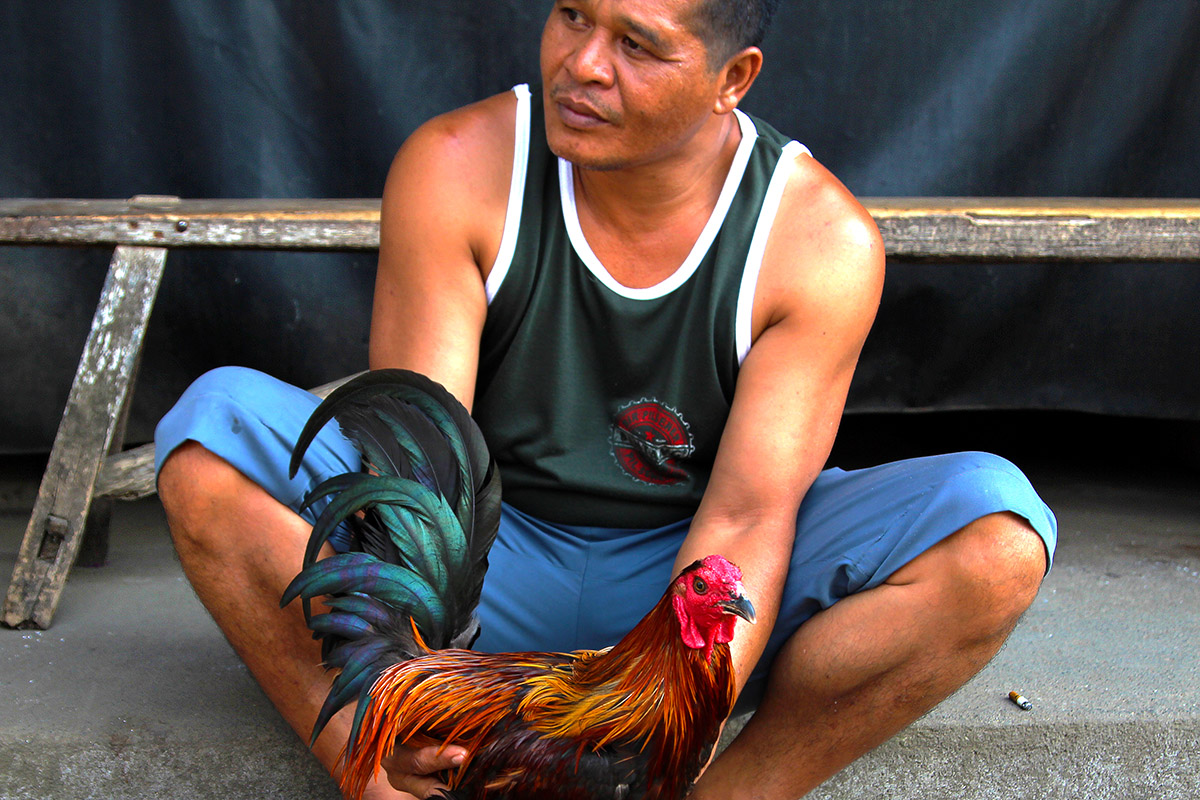 indonesia/ubud_rooster_man_2