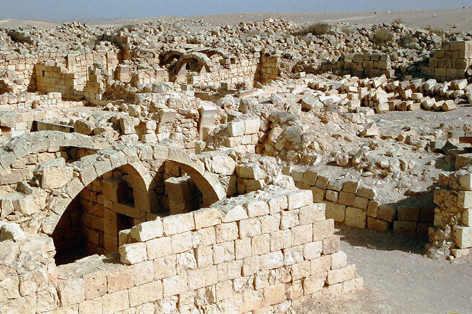 israel/negav_avdat_ruins