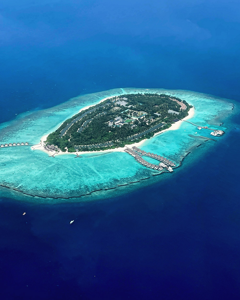 maldives/maldives_amerikanis