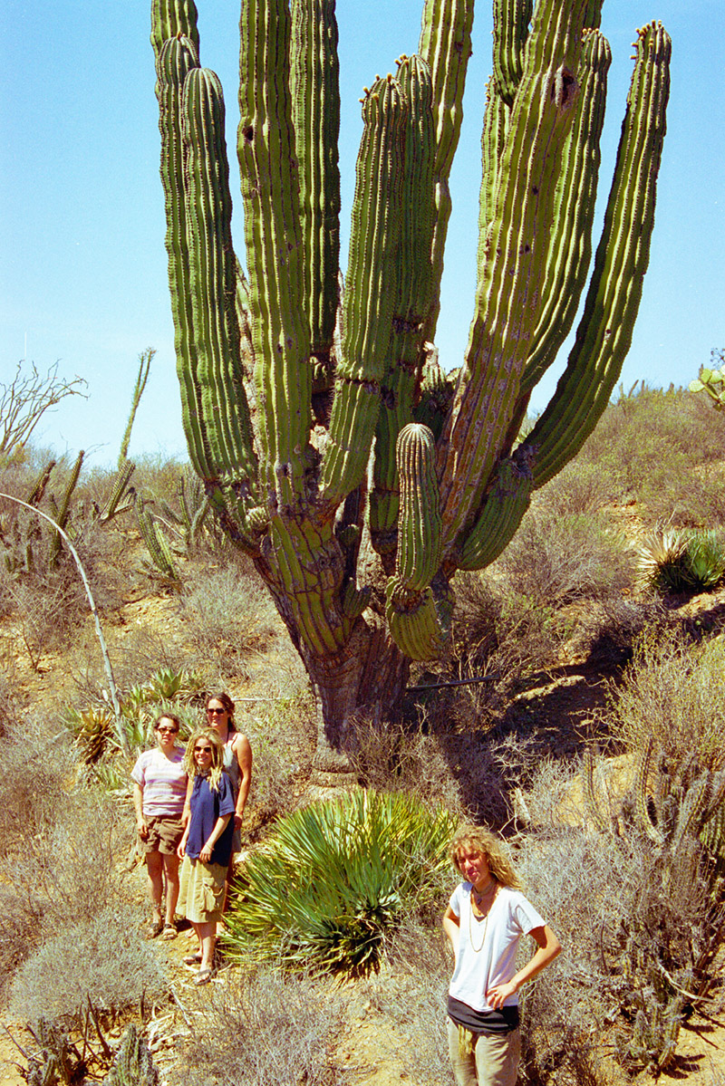 mexico/1997/baja_girls_cactus