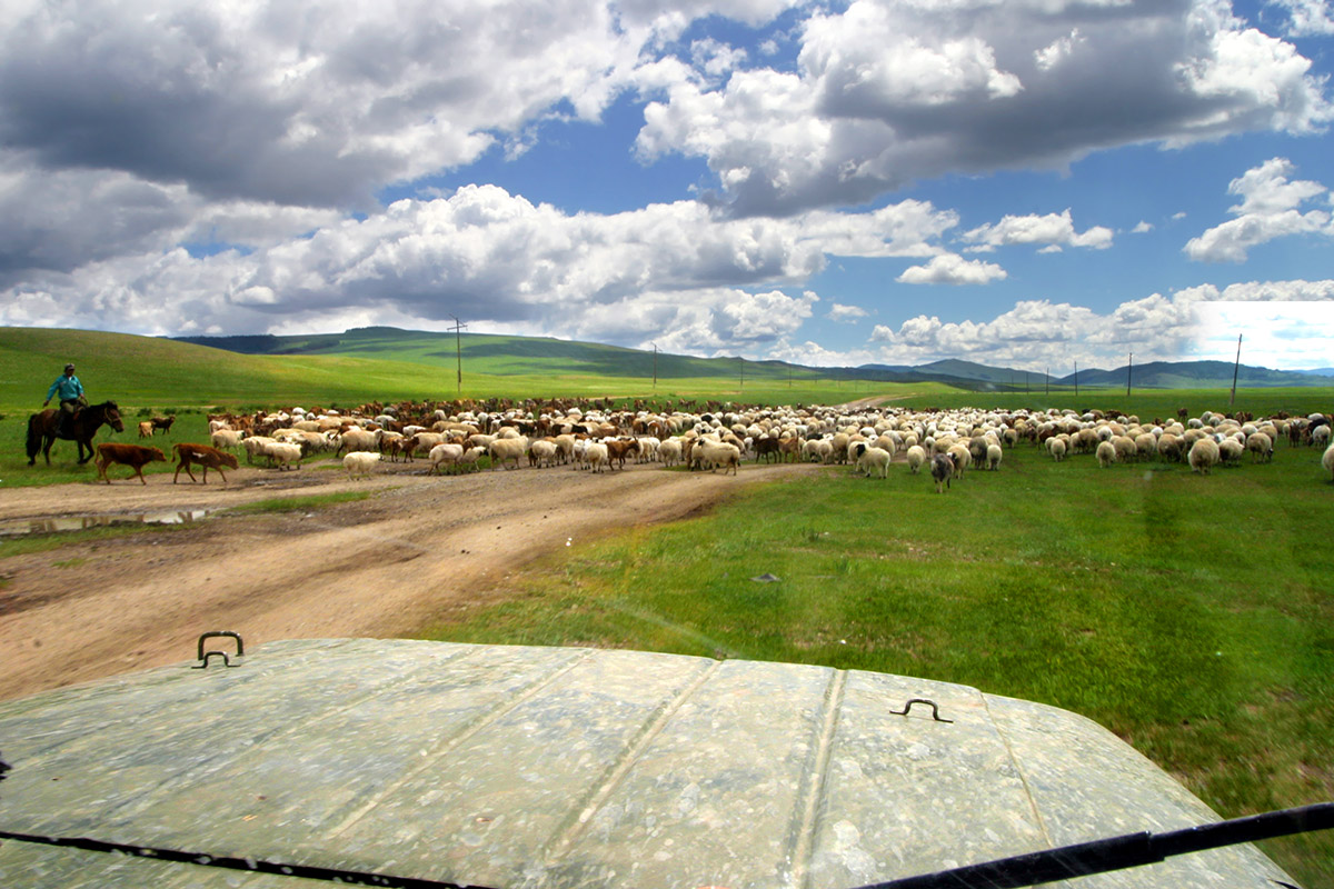 mongolia/countryside_herder_road