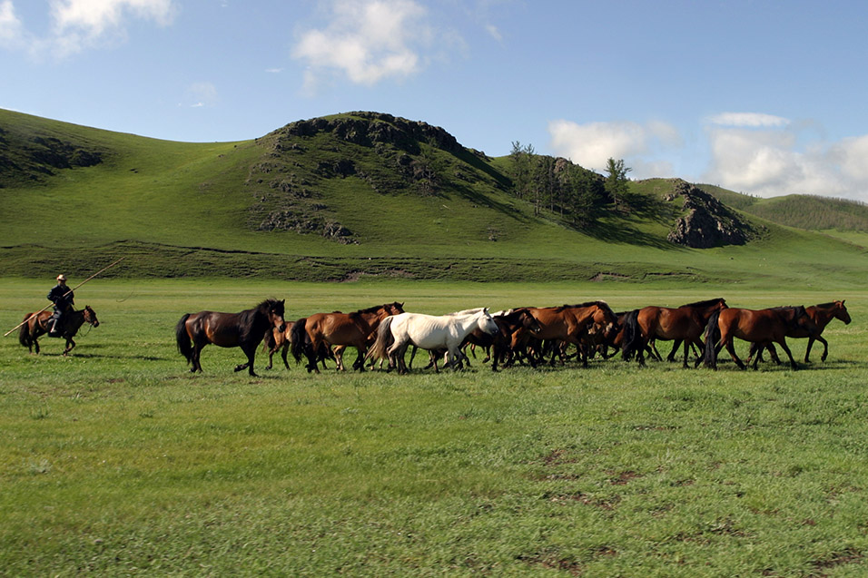 mongolia/countryside_horse_herder_2