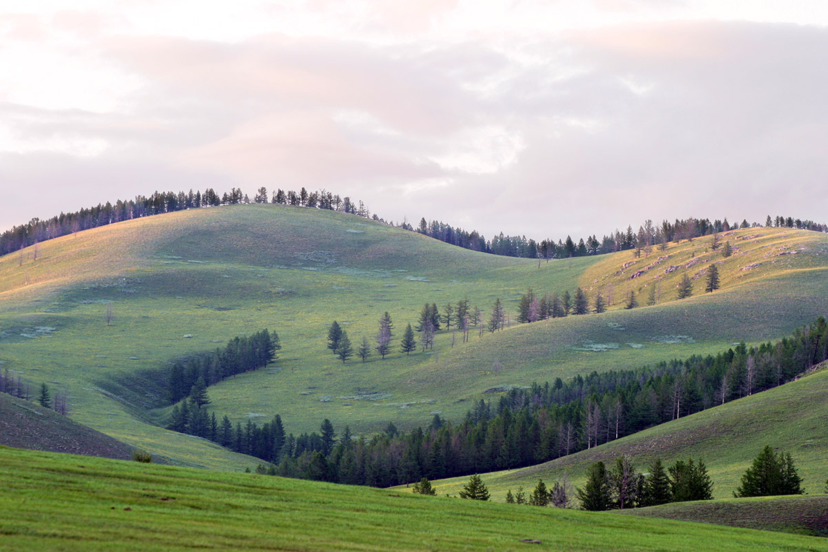 mongolia/countryside_sunset_rolling_hills