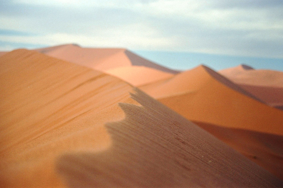 namibia/dune_45_close_up