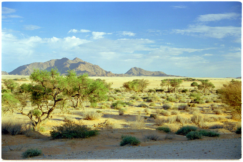 namibia/landscape