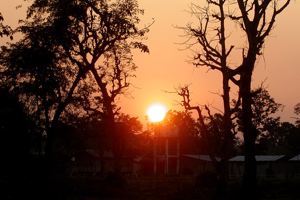 nepal/chitwas_sunset_ground