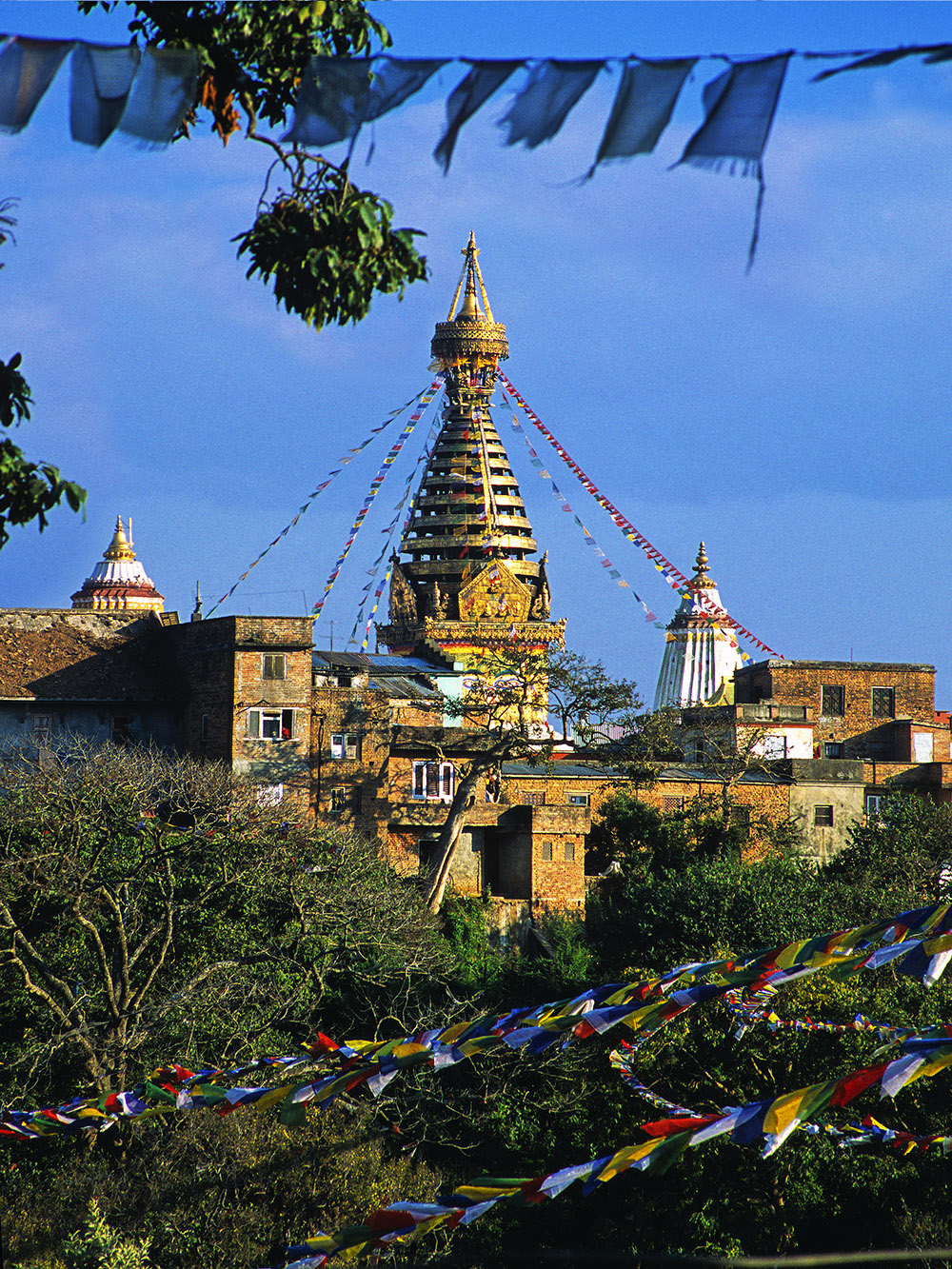 nepal/kat_monkey_temple_flags