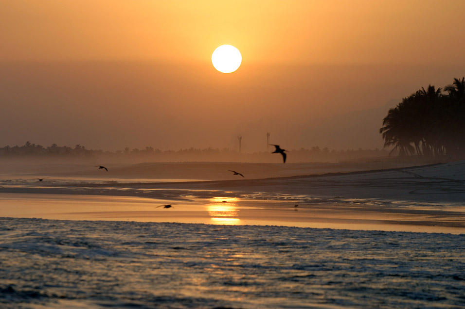 oman/salalah_beach_beautiful_sunset_bird