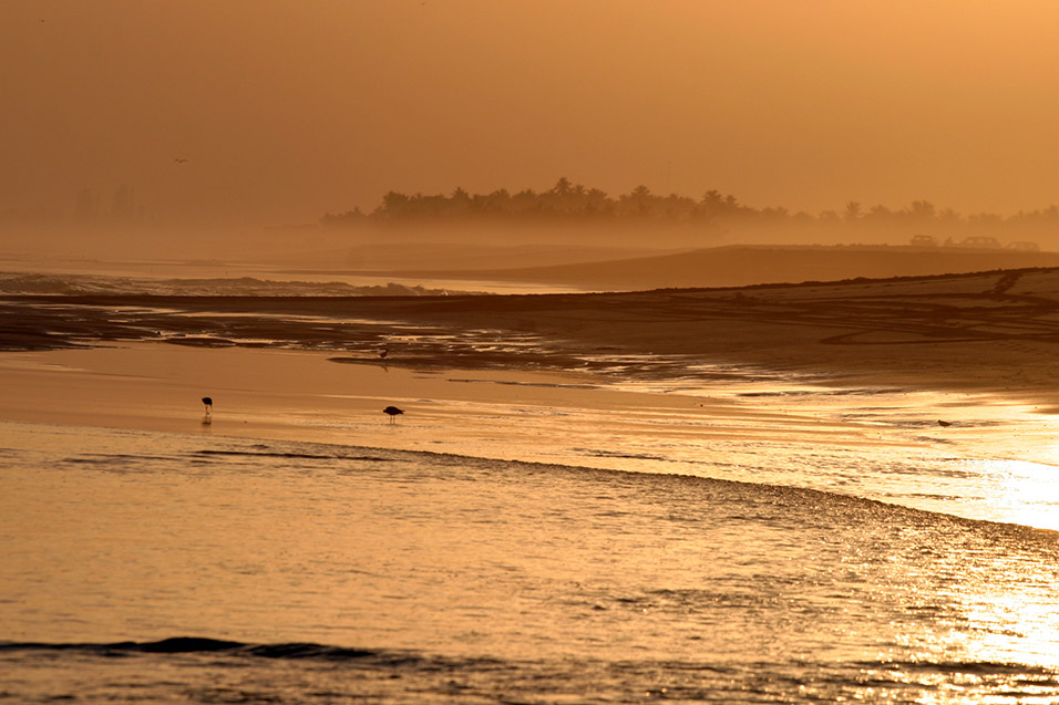 oman/salalah_golden_beach_sunset