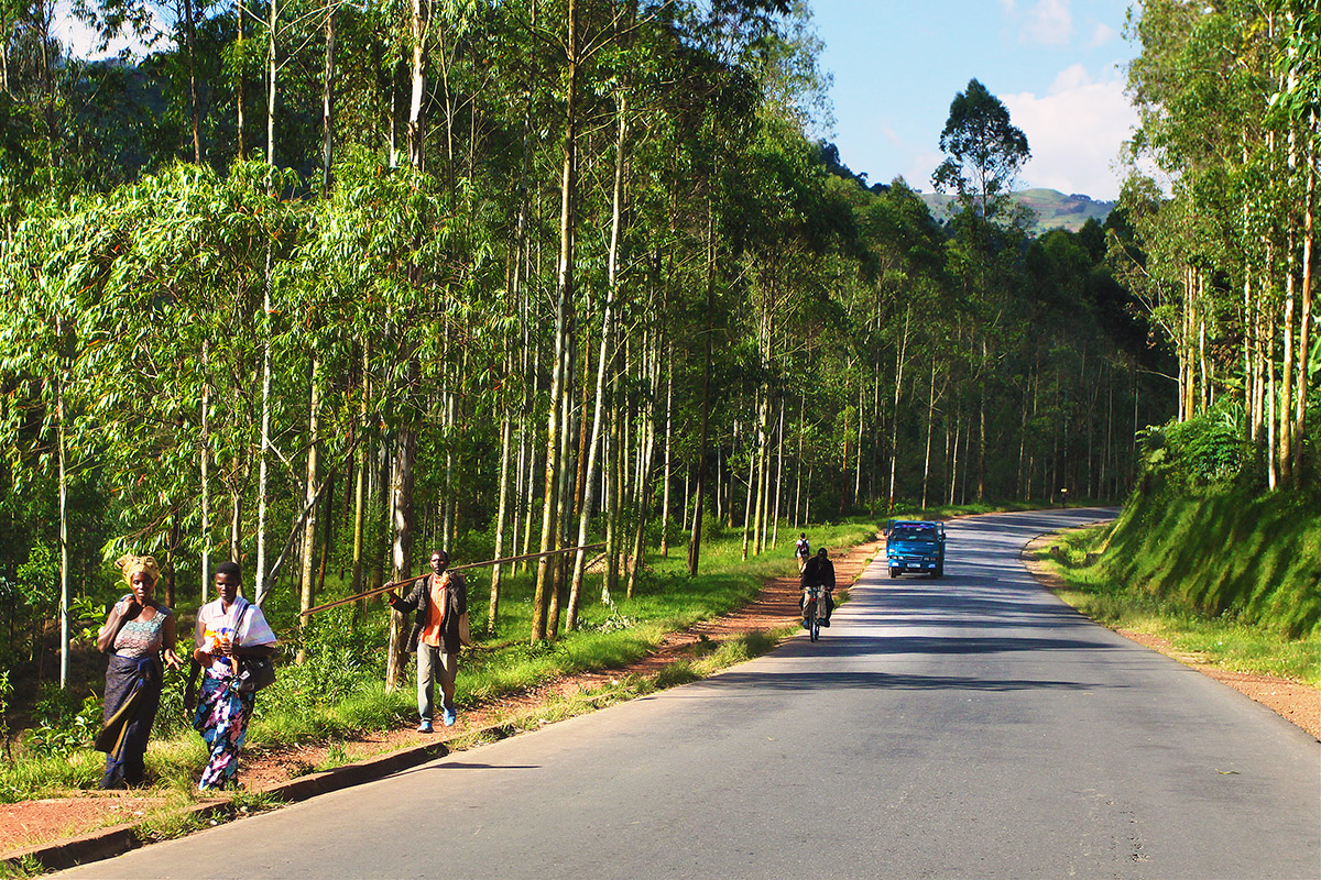 rwanda/rw_road_home_primus_ad