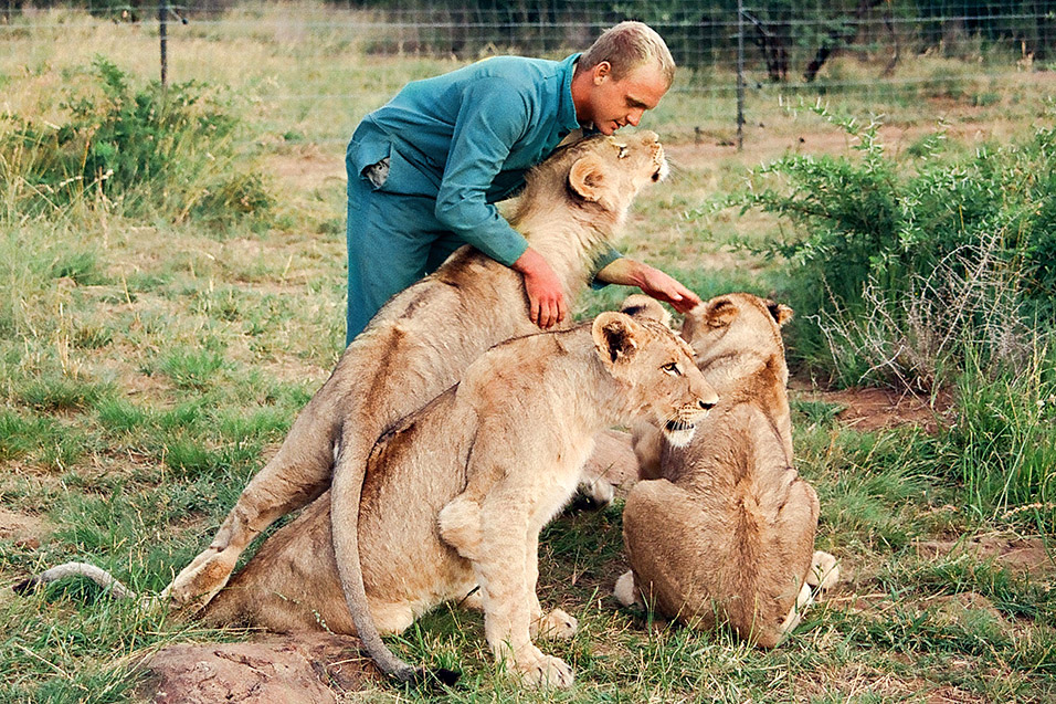 south_africa/lions_trainer_1_color