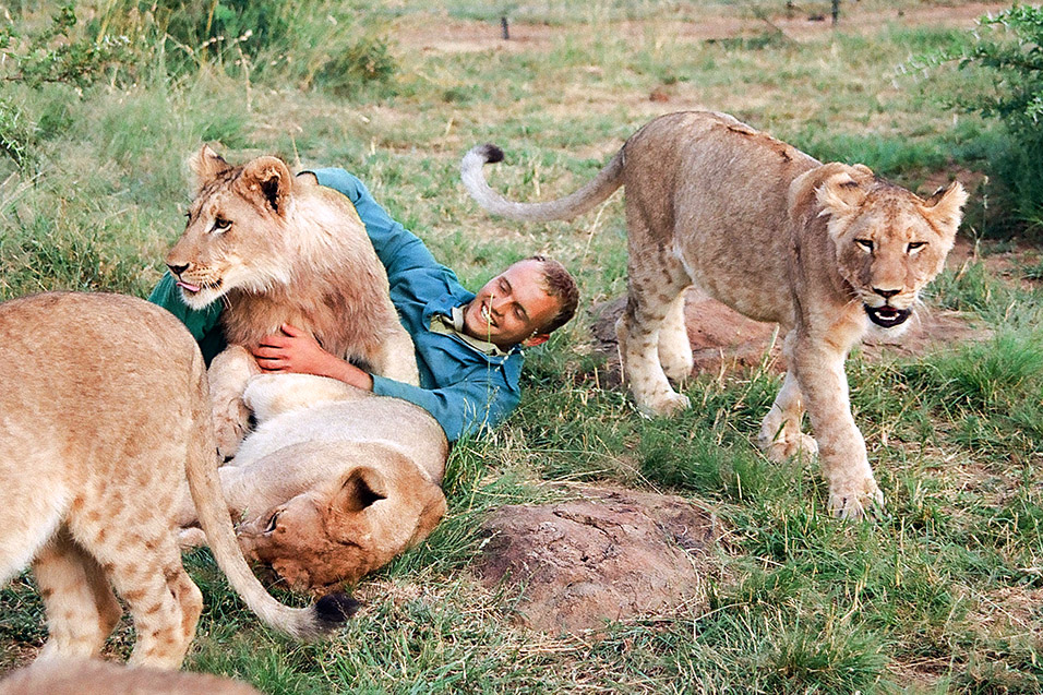 south_africa/lions_trainer_3_color
