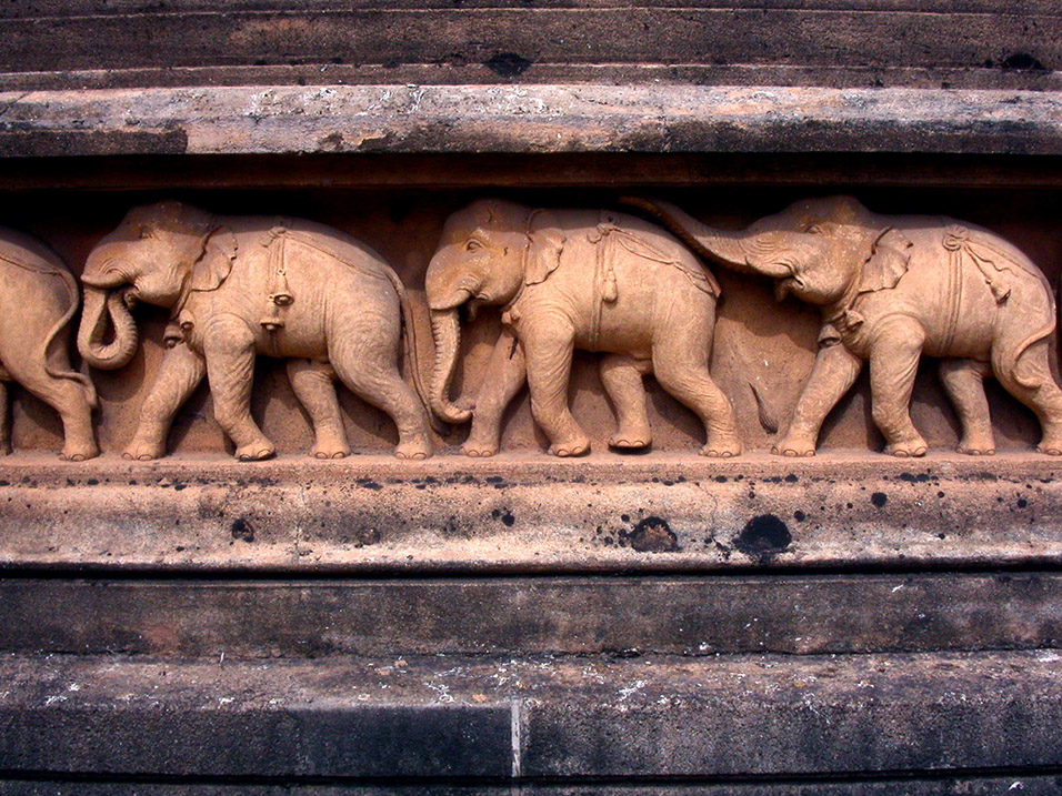 sri_lanka/temple_elephants