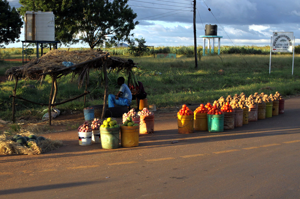 tanzania/2010/dar_road_selling_tomatoes