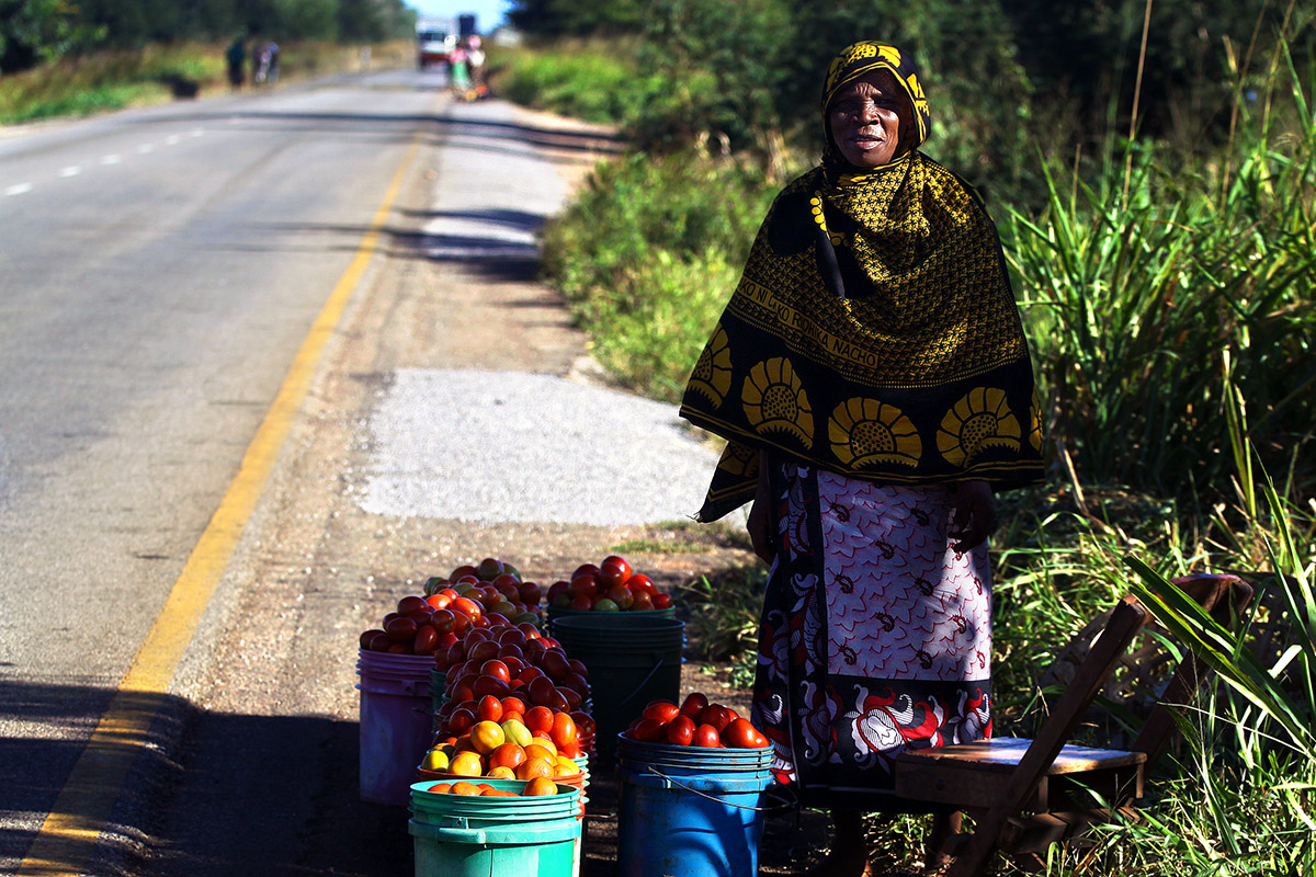 tanzania/2010/road_lady_selling_tomatos