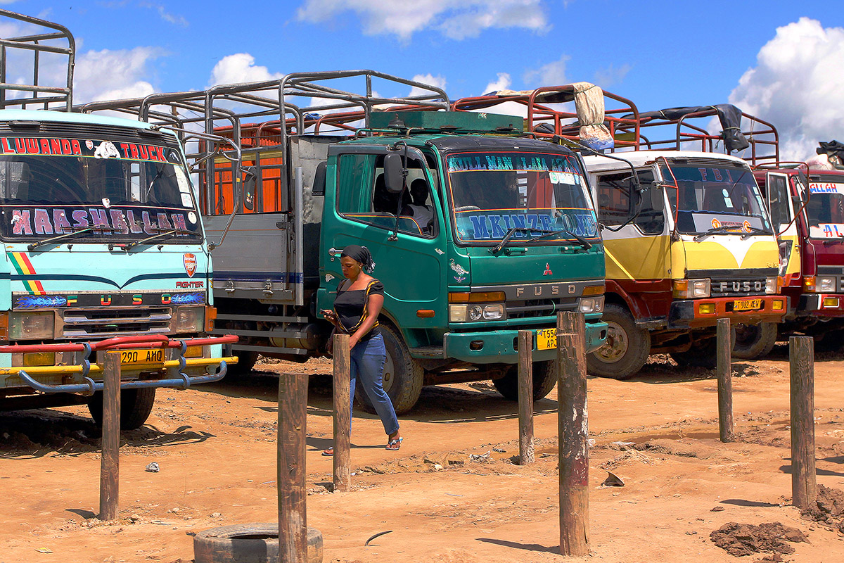 tanzania/2010/road_lorries_woman