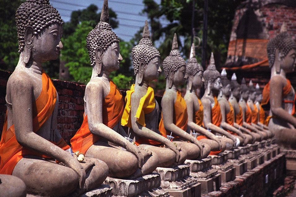 thailand/2004/ayutthaya_buddhas_4